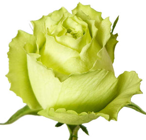 Verdes