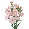 Rosado